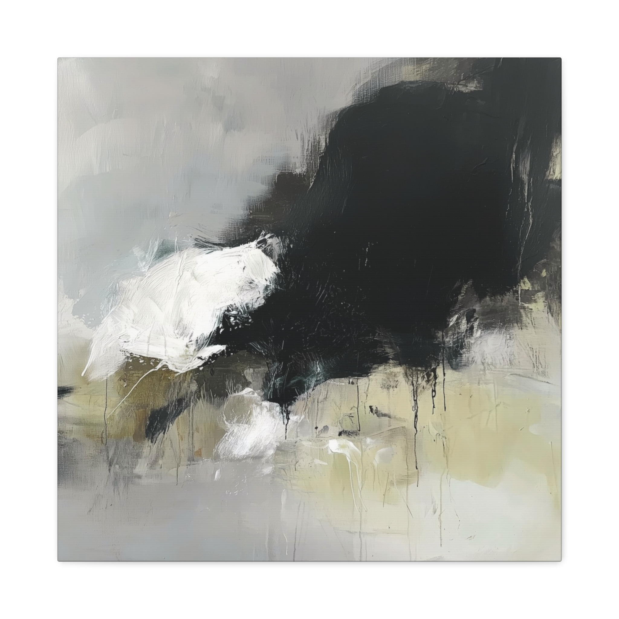 Black Cat White Kitten Two - Stretched Canvas - Image 5